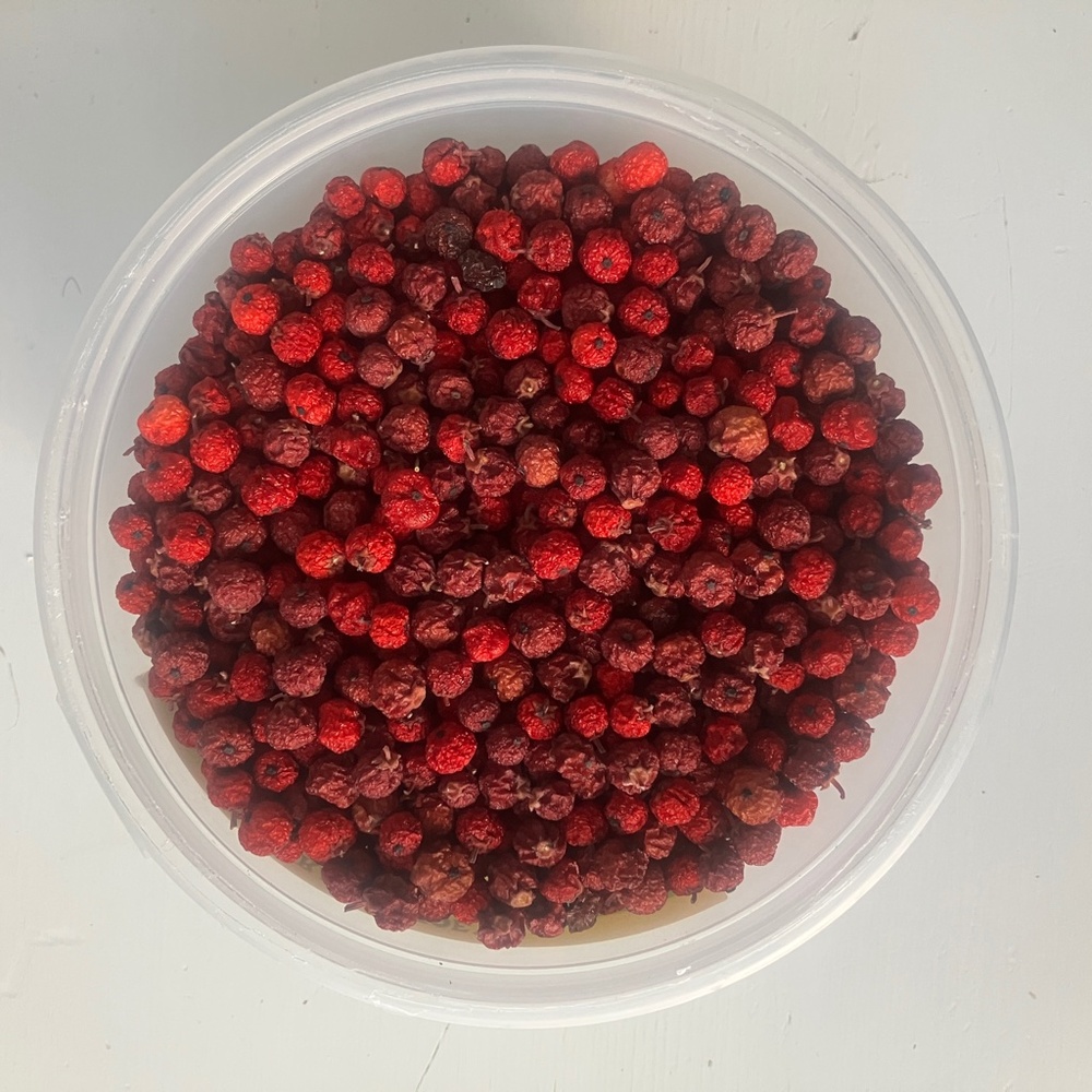 Dried ilex berries red and rust brown mix for arts, crafts, floral decor